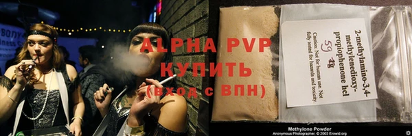прущие грибы Коряжма