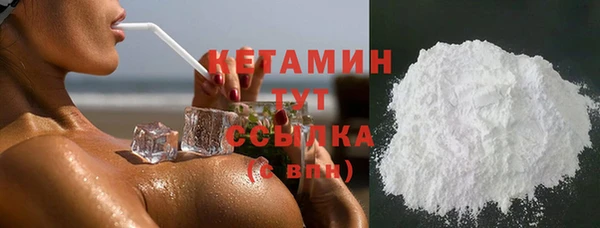 прущие грибы Коряжма
