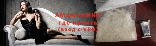 прущие грибы Коряжма
