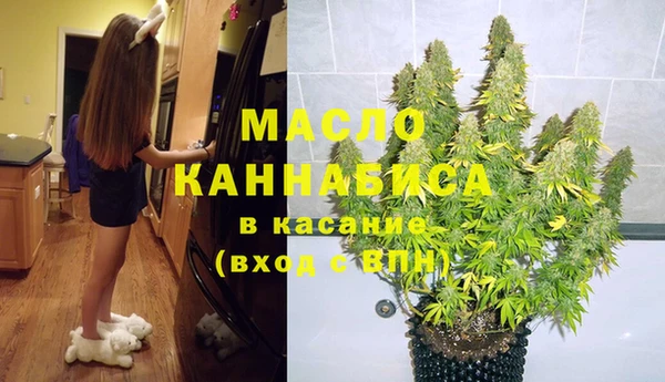 прущие грибы Коряжма