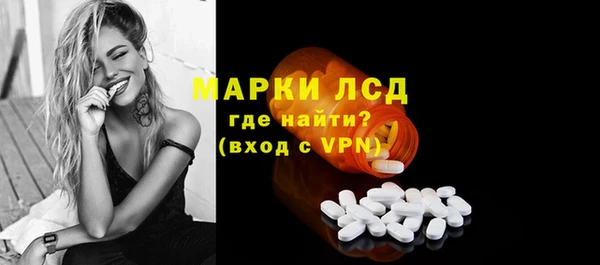 прущие грибы Коряжма