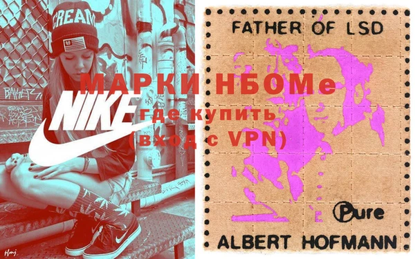 прущие грибы Коряжма