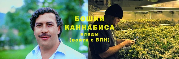 прущие грибы Коряжма