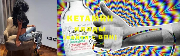 прущие грибы Коряжма