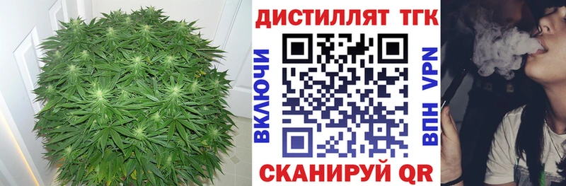 Купить где  Питкяранта  Дистиллят ТГК THC oil 