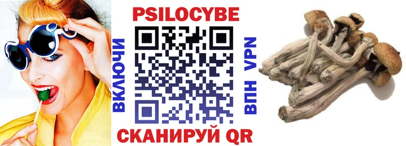Купить  Питкяранта  Псилоцибиновые грибы мухоморы 